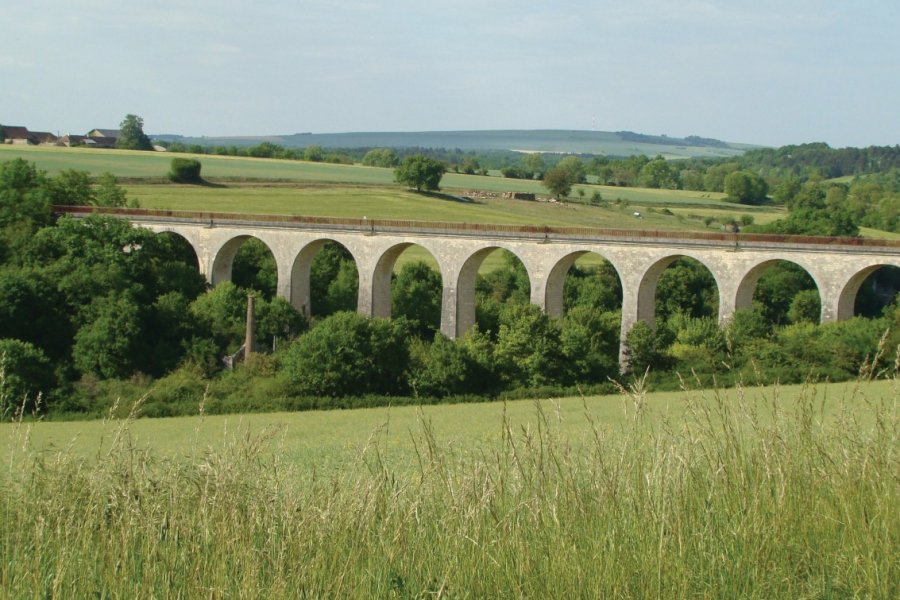 Le Viaduc de Druyes-les-Belles-Fontaines. Julia Valentin