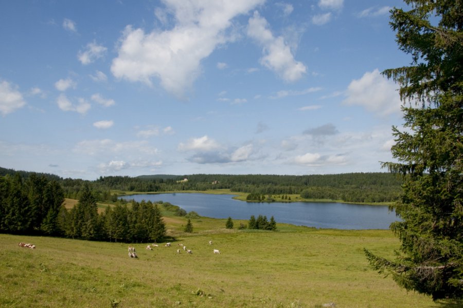 Le lac de Bellfontaine. Alonbou  - stock.adobe.com