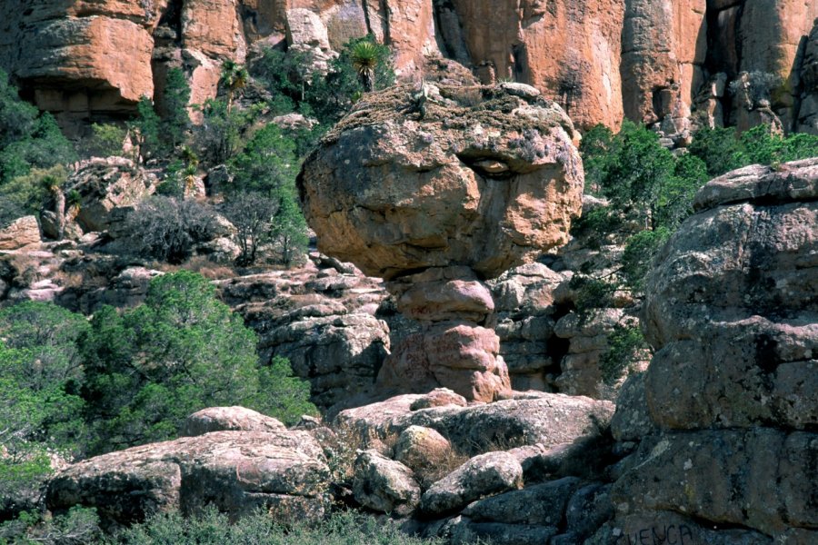 Formation rocheuse dans la réserve de Sierra de Órganos. Sylvie LIGON