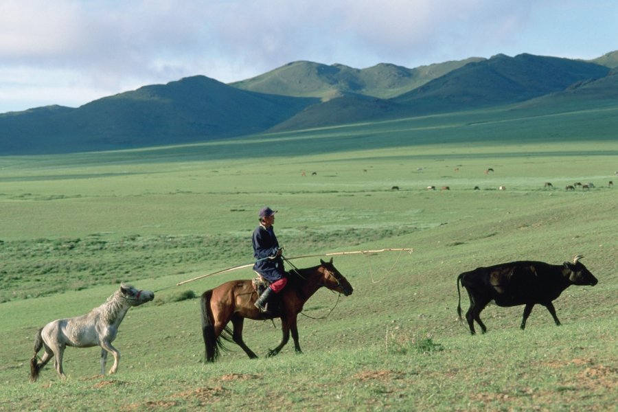 Plaine et chevaux, Aimag d'Ovörkhangaï. Eric Martin - Iconotec