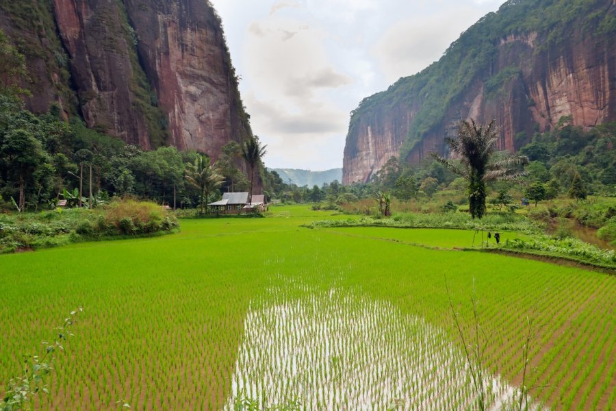 Dans la vallée de Harau. Elena Mirage - Shutterstock.com