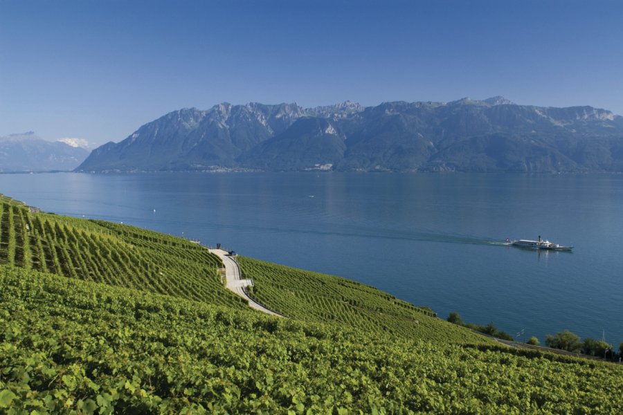 Le lac Léman XIM-CROW - FOTOLIA