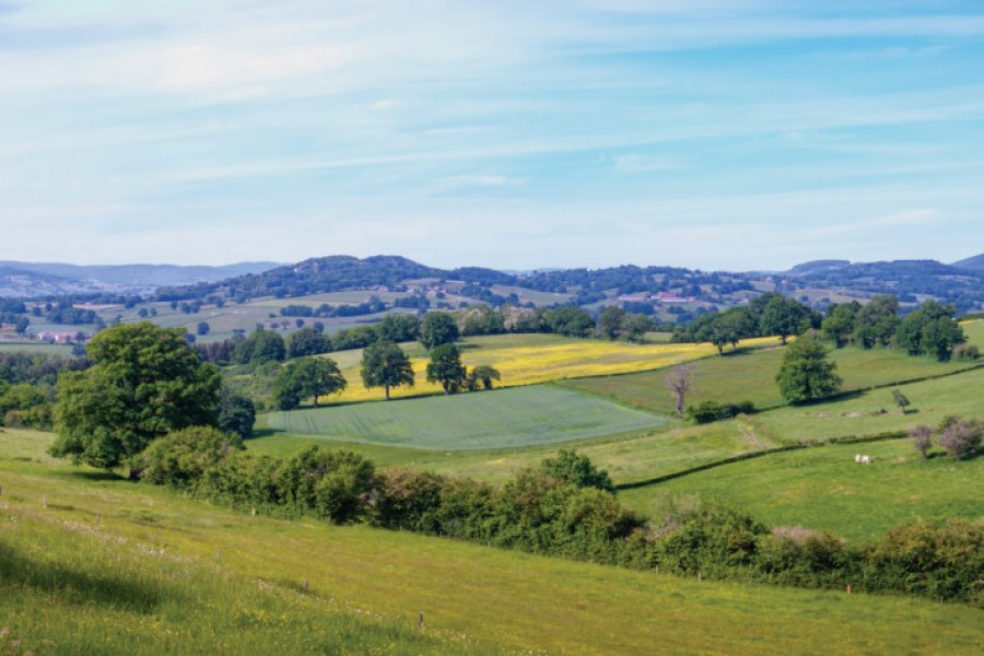 Paysage vers Etang-sur-Arroux. Jean-Marc Schwartz