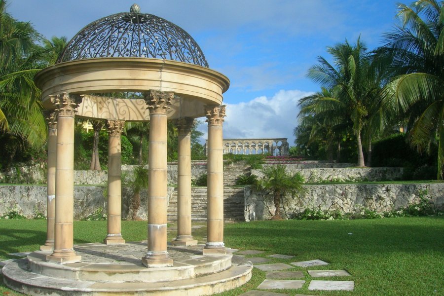 Nassau, Jardin. Cebolla4 - iStockphoto.com