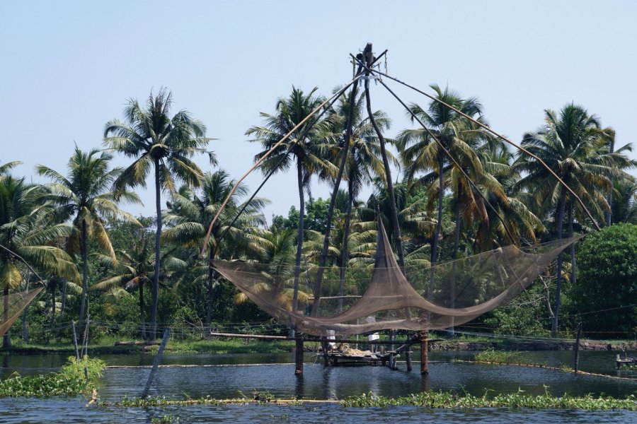 Periyar Wildlife Sanctuary