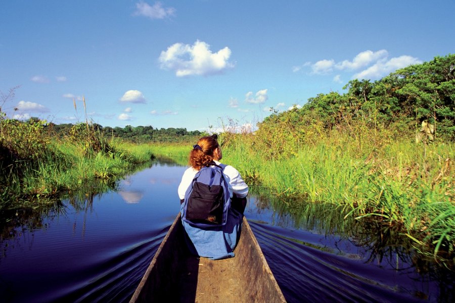 Découverte de la réserve de Rio Napo, environs de Coca. Author's Image