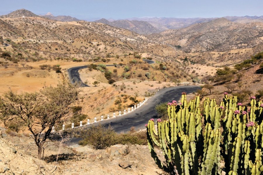 Paysage sur une route d'Asmara à Keren. muendo - iStockphoto.com