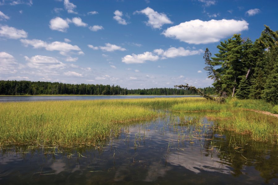 Itasca State Park. 7Michael - iStockphoto.com