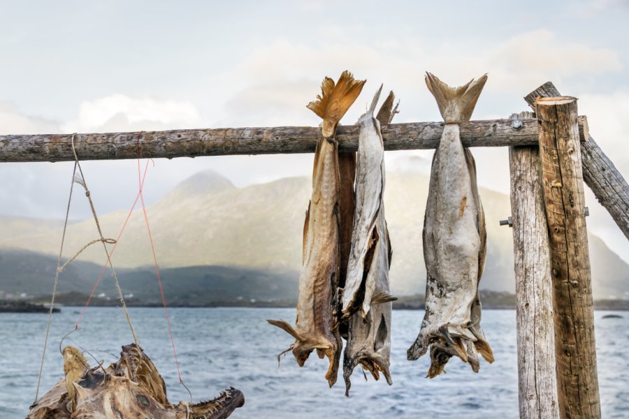 Poissons séchés sur le port de Leknes. RUBEN M RAMOS - Shutterstock.com