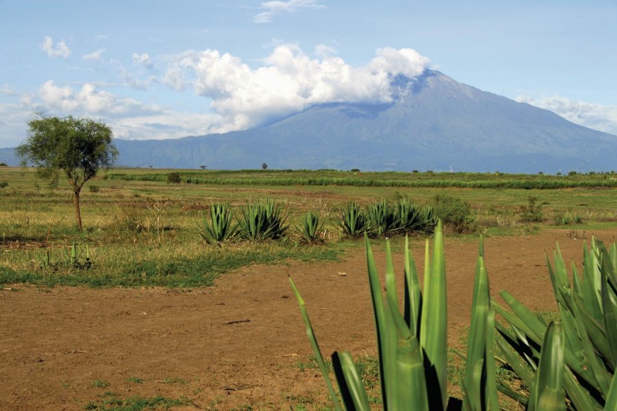 Mont Meru, Arusha National Park brytta - iStockphoto.com