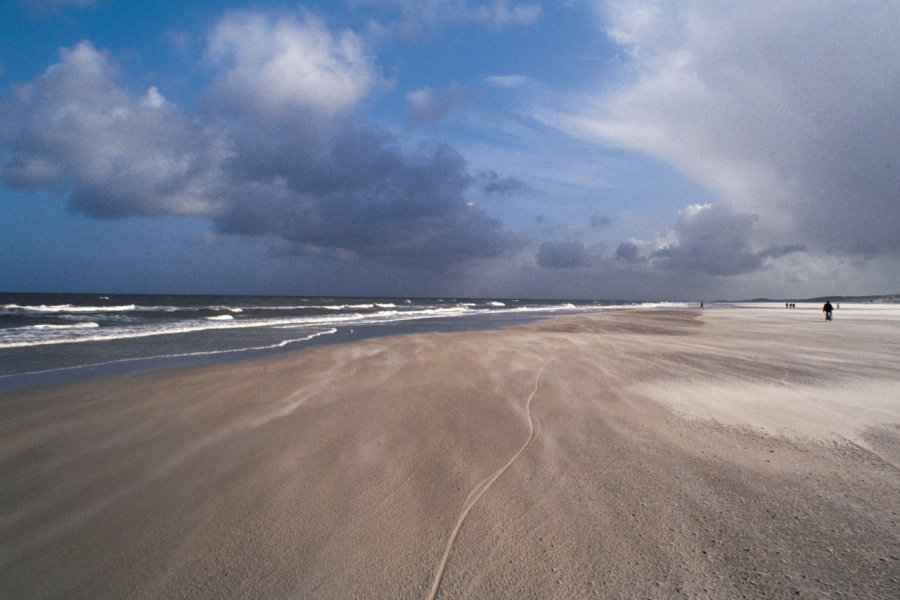 La vaste étendue de la plage de Terschelling semble désertée. H.Fougère - Iconotec