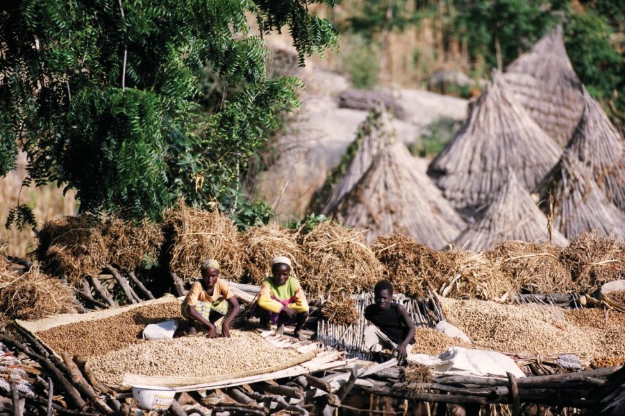 Gros plan sur les toits du village d'Oudjilla lors de la récolte du mil. Sébastien CAILLEUX