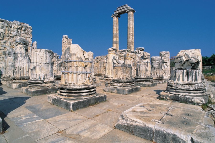 Vestiges du site archéologique de Didymes. Hugo Canabi - Iconotec