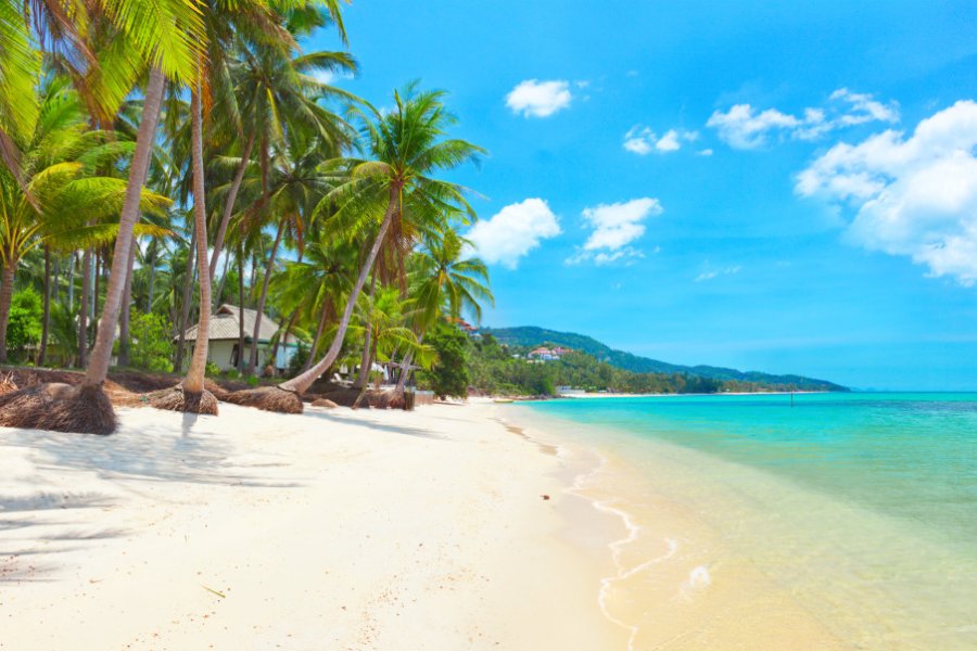 Koh Samui. Aleksandr Ozerov/Shutterstock.com