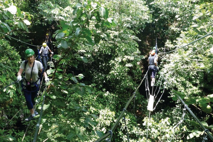 Ponts de singes à l'Éco-reserva Mbatoví. Nicolas LHULLIER