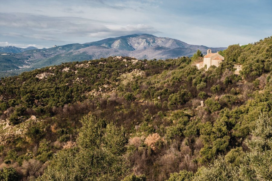 Paysage du Vallespir. Laurent Pierson