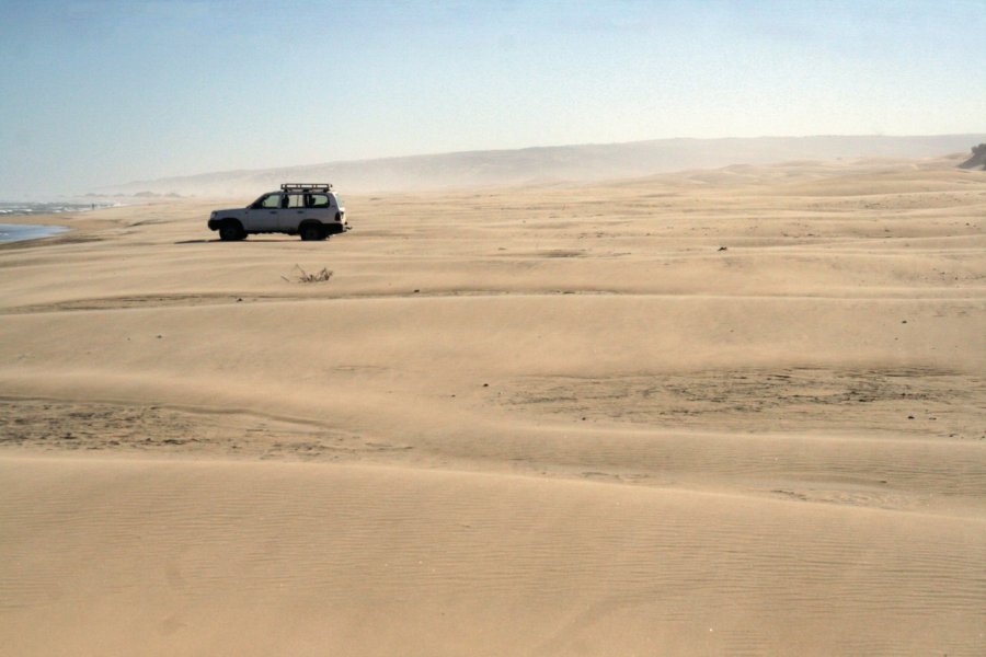 Un décor atypique de désert saharien, les dunes du lac Anony, près d'Amboasary, entre Ambovombe et Fort Dauphin Arnaud BONNEFOY