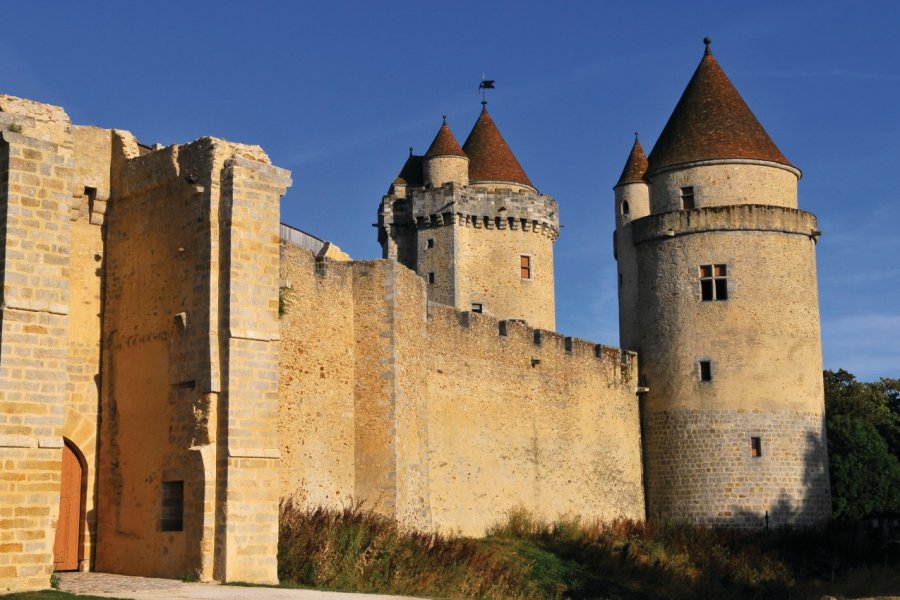 Le château de Blandy-les-Tours Australian Dream - Fotolia