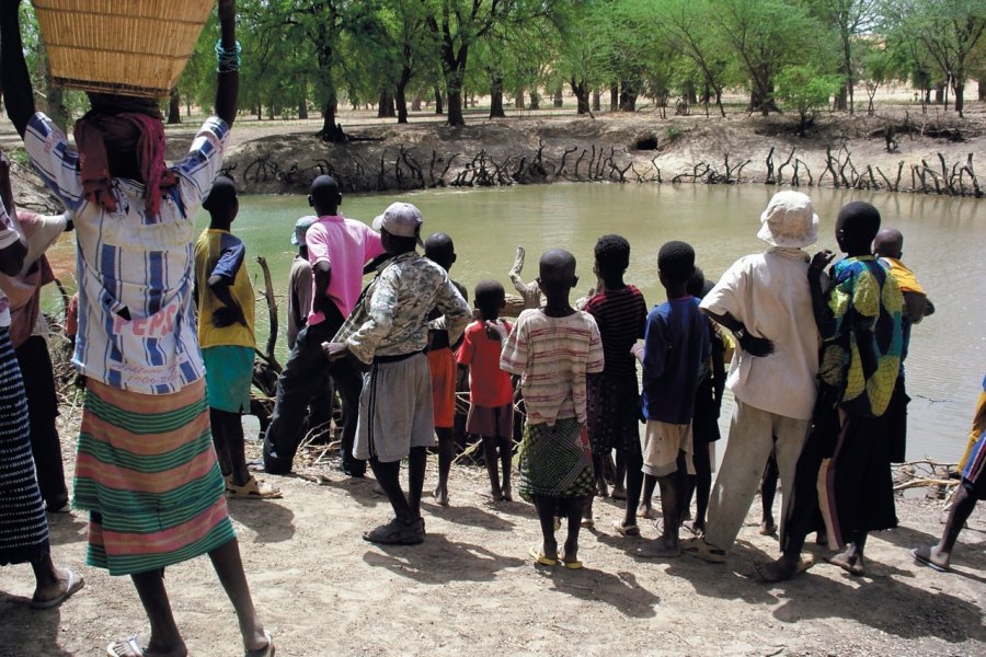 A Amani, les Dogon vivent en bonne intelligence avec les caïmans sacrés Morgane VESLIN