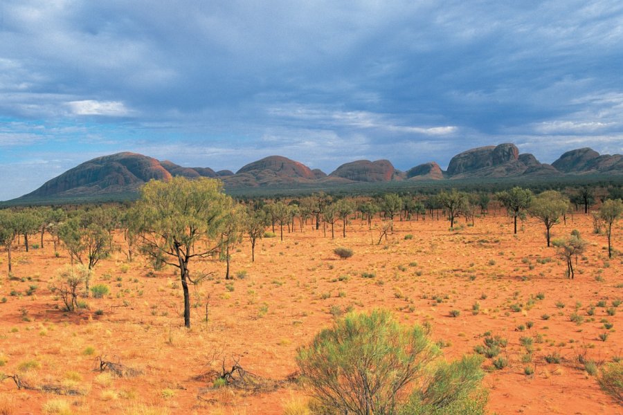 Parc national de l'Uluru. Alamer - Iconotec