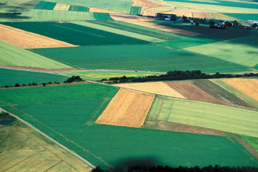 Vue aérienne de champs (© TOM PEPEIRA - ICONOTEC))