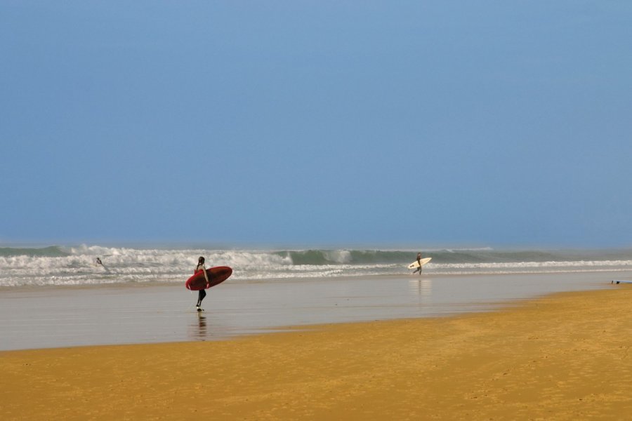 Plage de Biscarosse Eléonore H - Fotolia