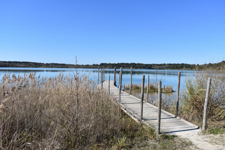 La lac d'Arjuzanx. philippe.vde - Shutterstock.com