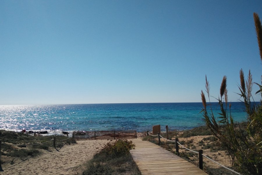 Plage d'Es Migjorn (Formentera). Jordi BOU