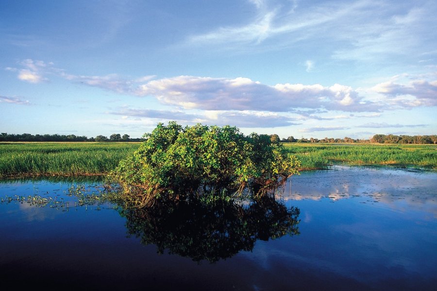 Parc national de Kakadu. Henri Conodul - Iconotec