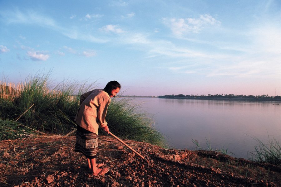 Culture des terres bordant la rivière Mékong. Author's Image