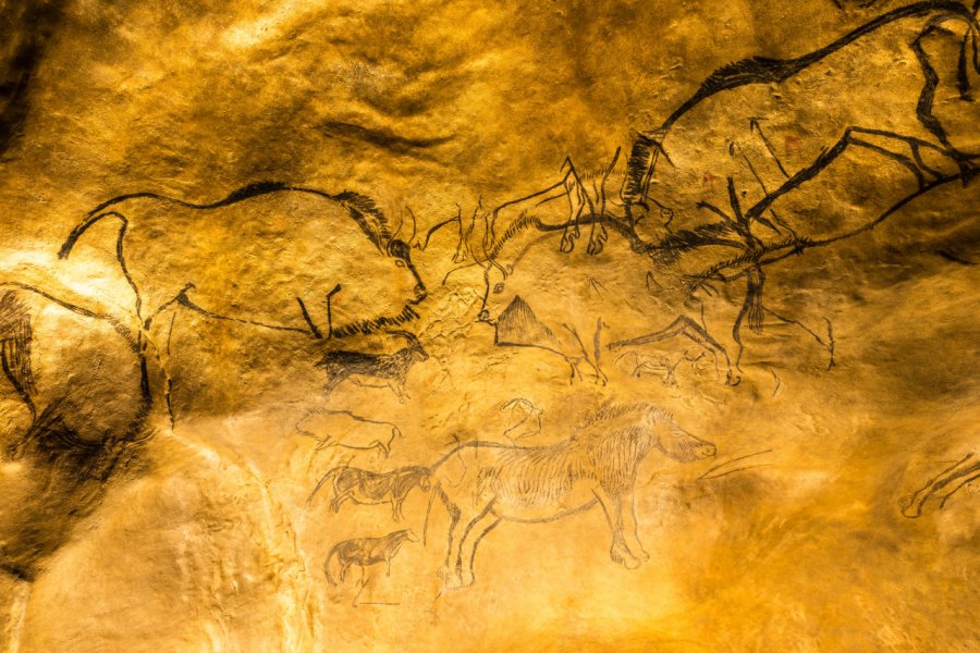 Peintures rupestres dans la grotte de Niaux. (© Anibal Trejo - Shutterstock.com))