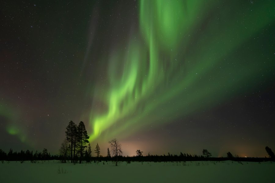 Aurore boréale à Muonio. Frantisek Zvardon - Shutterstock.com