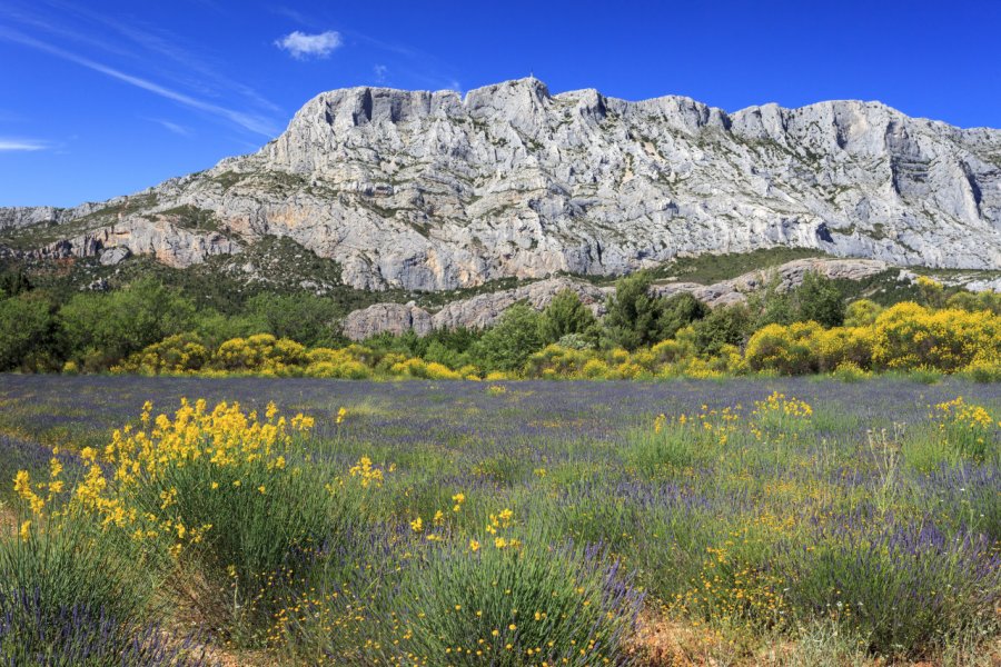 Montagne Sainte-Victoire. Jef Wodniack - Shutterstock.com