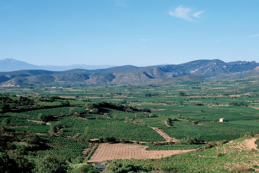 Vue aérienne du vignoble des Corbières IRÈNE ALASTRUEY - AUTHOR'S IMAGE