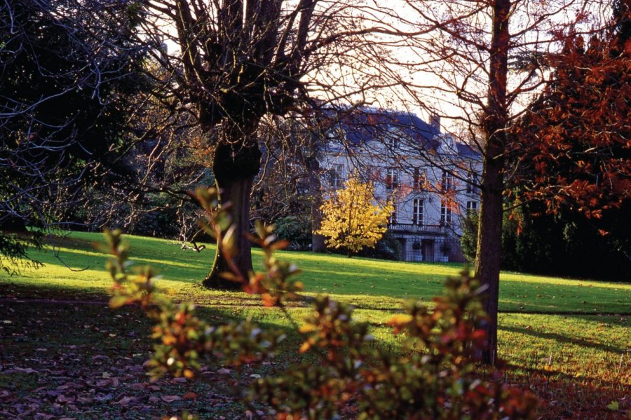Arboretum de la Vallée-aux-Loups Béatrice PICHON-CLARISSE
