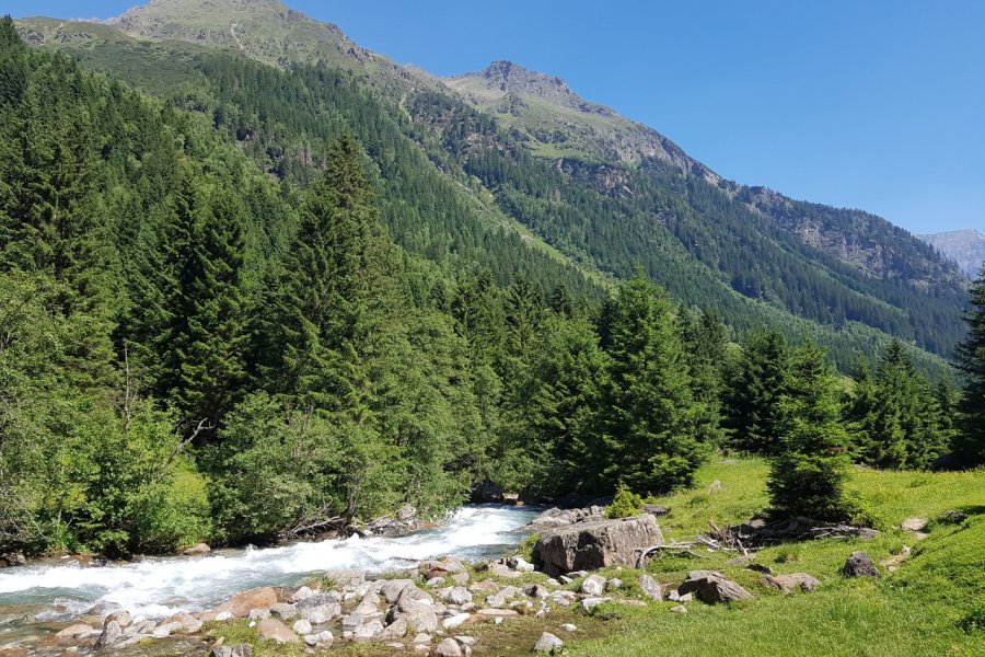 Les montagnes du Gschnitztal ont servi de décor au film de Jean-Jacques Annaud, L'Ours. bririemoments - iStockphoto.com