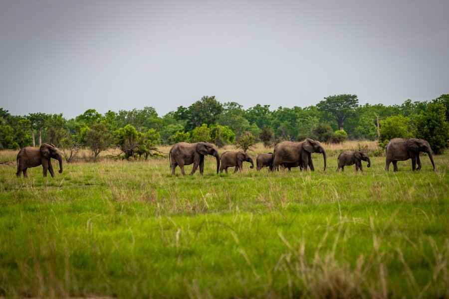 Le parc national de Pendjari. Gilles COMLANVI - Shutterstock.com