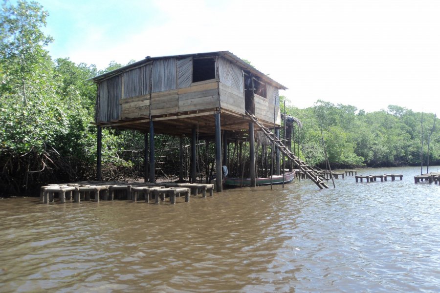 Baie de Jiquilisco. JICA El Salvador