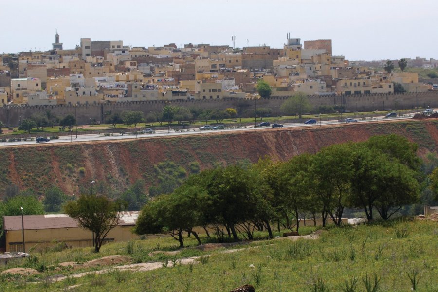 Vue générale de Meknès. Sylvie Ligon