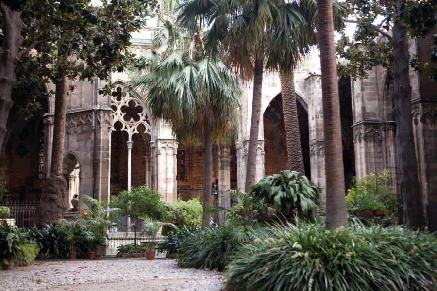 Catedral de la Santa Creu i Santa Eulàlia, dite la 