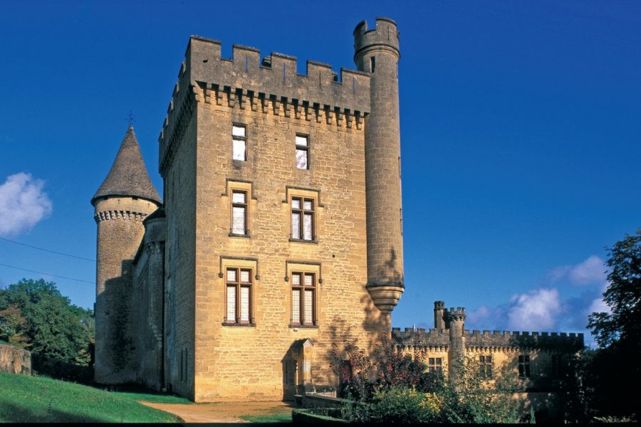 Château de Puymartin PIERRE DELAGUERARD - ICONOTEC