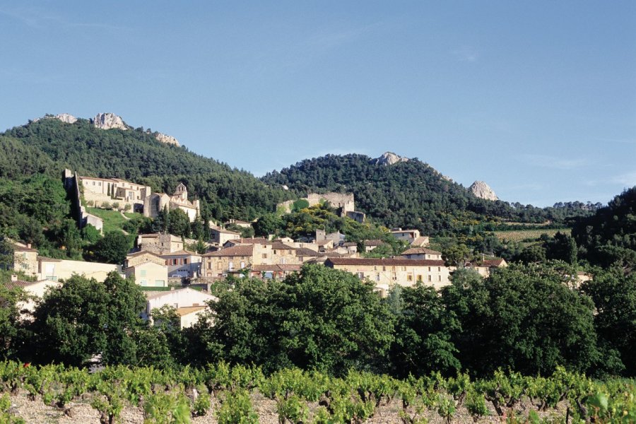 Vue générale de Gigondas Irène ALASTRUEY - Author's Image