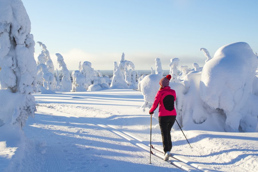 Ski de fond en Laponie. Tanhu - Shutterstock.com