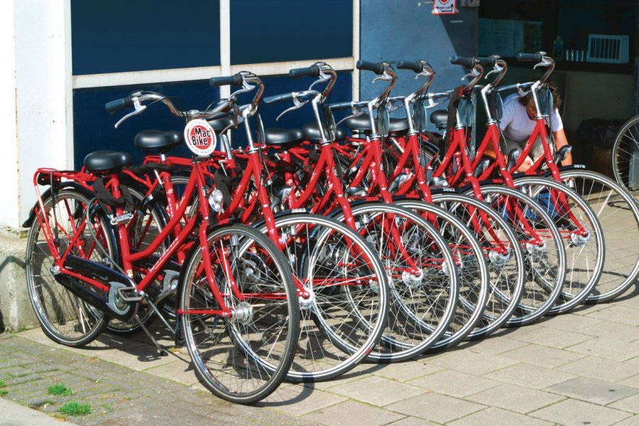 Location de vélos MacBike. Author's Image