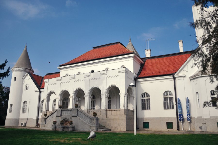 Château Fantast. predrag1 - Fotolia