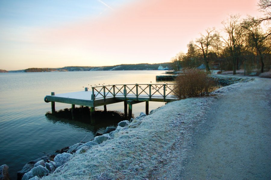 Le parc de Djugården. Daniele Silva - Shutterstock.com