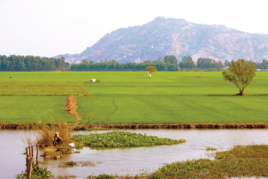 Région de Tinh Biên. Author's Image