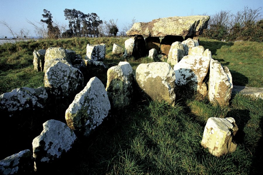 Dolmen de Faldouet. BDLM - Iconotec