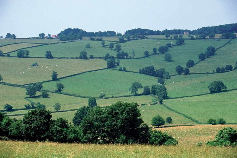 Paysage du Brionnais PHOVOIR