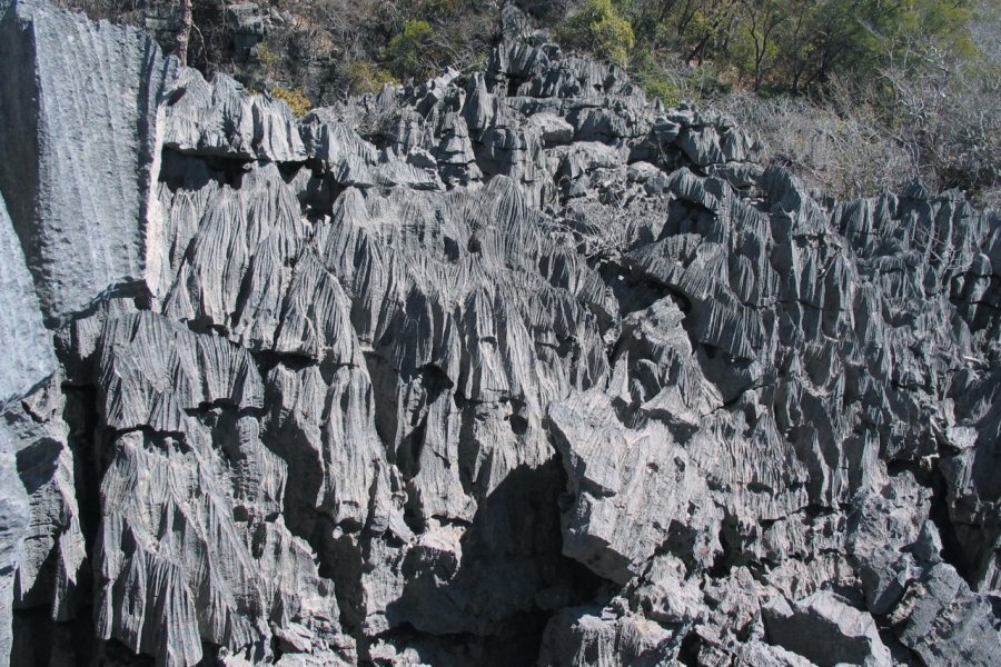 Tsingy De L'Ankarana